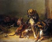 狗和幼崽 - 本诺·亚当